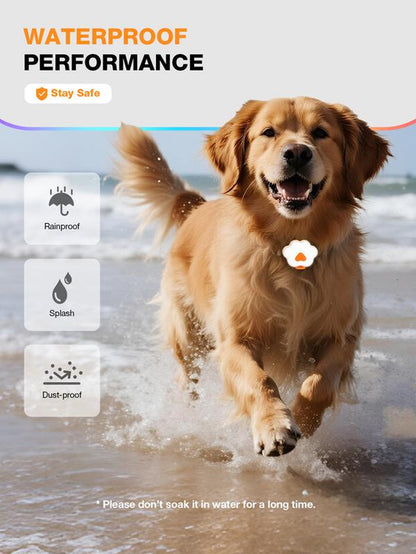 Lekereise LED Dog Collar Light – USB-C Rechargeable, 6 Modes, Waterproof Silicone Safety Collar for Night Walking, Running & Camping