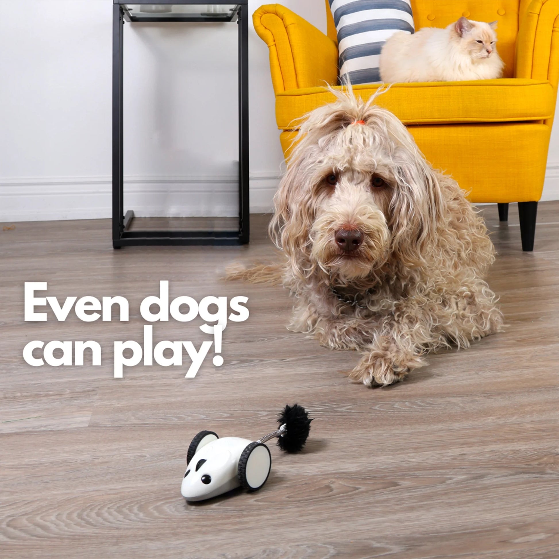 Purechase Smart Cat Toy, Interactive Automatic Mouse Shaped Toy for Pets, App Enabled with Adjustable Speed, Flip Modes, Replaceable Plush Tail and USB Charging for Kittens and Dogs