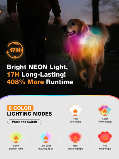 Lekereise LED Dog Collar Light – USB-C Rechargeable, 6 Modes, Waterproof Silicone Safety Collar for Night Walking, Running & Camping